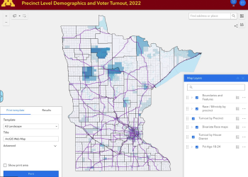 Precinct Level Demographics and Voter Turnout, 2022